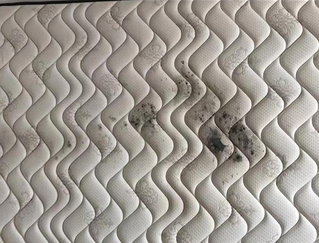 床墊發(fā)霉如何處理，霉菌對(duì)身體有危害嗎？