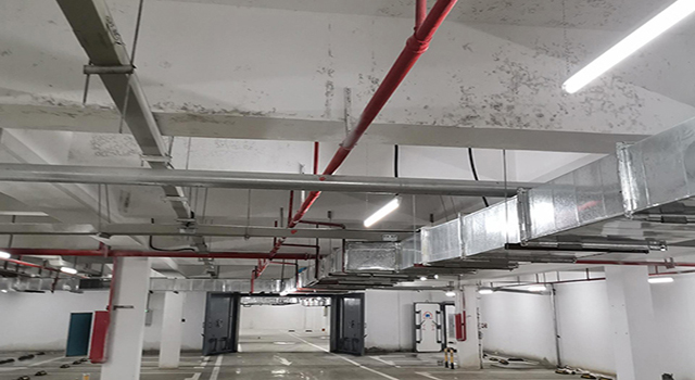 車庫發(fā)霉情況