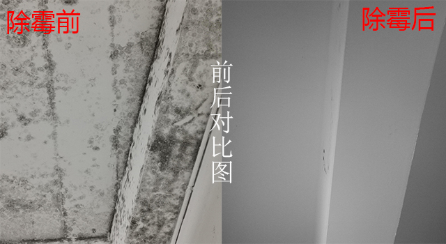 細(xì)節(jié)除霉對比圖