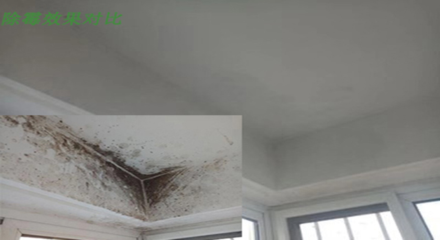 除霉對比圖