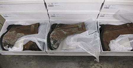 倉庫鞋子發(fā)霉