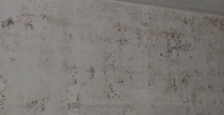 墻壁發(fā)霉