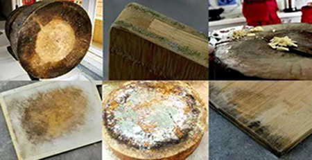 木制品發(fā)霉