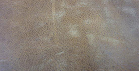 瘋馬油皮發(fā)霉