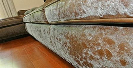 皮沙發(fā)發(fā)霉