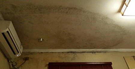 臥室墻面發(fā)霉