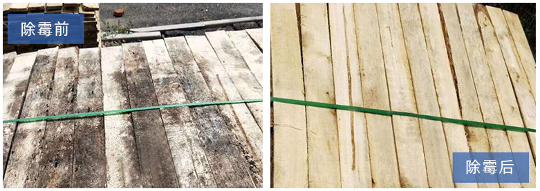 木材發(fā)霉對(duì)比圖.png
