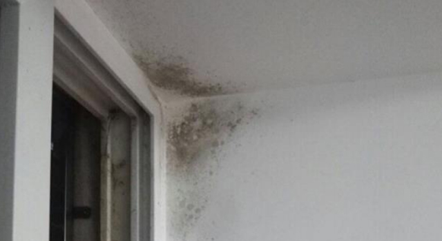 白墻發(fā)霉2.jpg